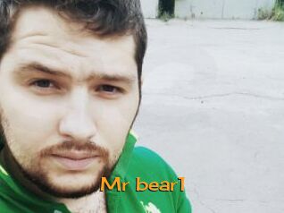 Mr_bear1