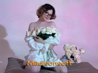 Madisonsoft