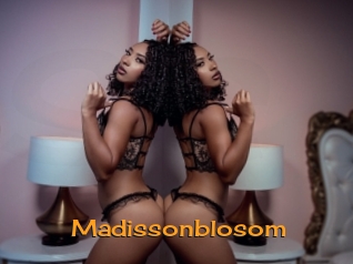 Madissonblosom