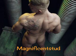 Magnificentstud