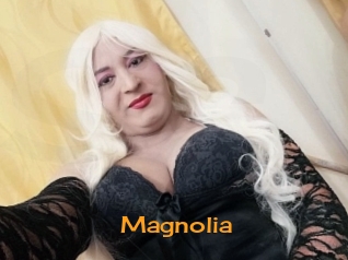 Magnolia