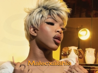 malecxalahia Sortez Couvert