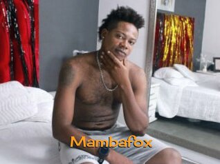 Mambafox