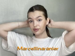 Marcellinaranier