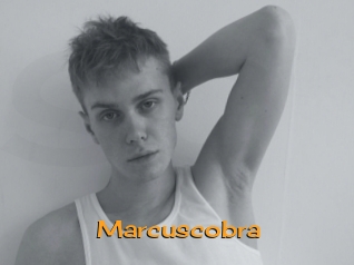 marcuscobra Sortez Couvert