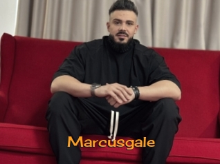 marcusgale Sortez Couvert