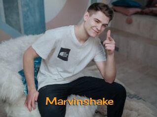 Marvinshake