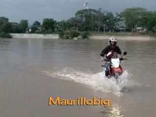 Maurillobig