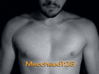 Mecchaud123