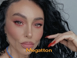 megatton Sortez Couvert