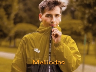 Meliiodas