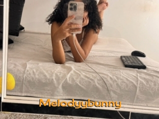 Melodyybunny