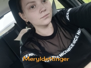 Meryldettinger