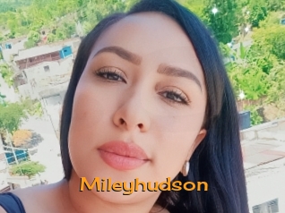 Mileyhudson