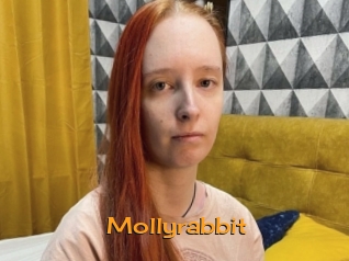 Mollyrabbit