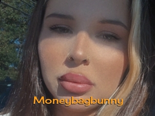 Moneybagbunny