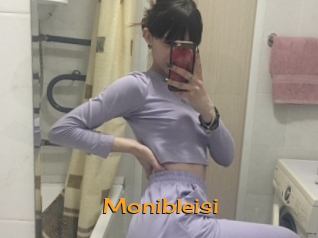 Monibleisi