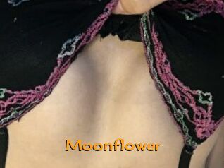 Moonflower