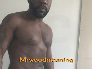 Mrwoodmoaning