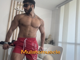 Mulatomuscle