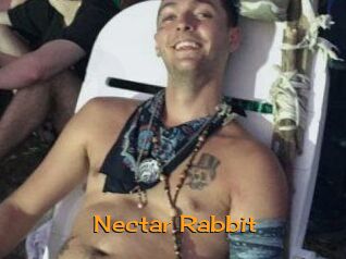 Nectar_Rabbit