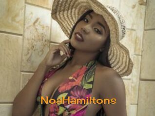 NoaHamiltons