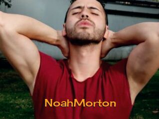 NoahMorton