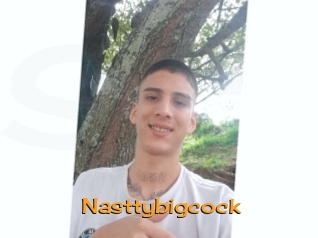 Nasttybigcock