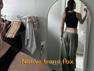 Native_trans_fox