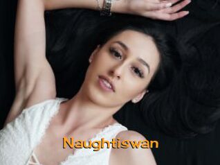 Naughtiswan