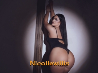 nicollewillis Sortez Couvert