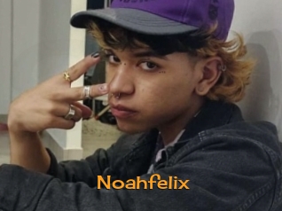 noahfelix Sortez Couvert