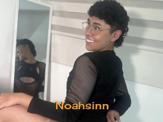 Noahsinn