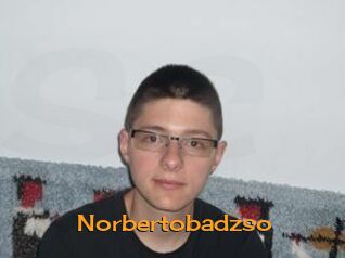 Norbertobadzso