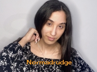 Normadrudge