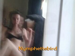 Nymphettebird