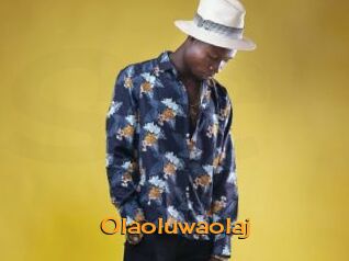 Olaoluwaolaj