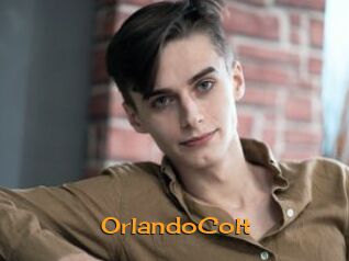 OrlandoColt Sortez Couvert
