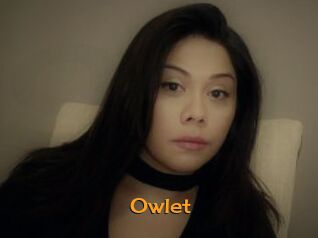 _Owlet_