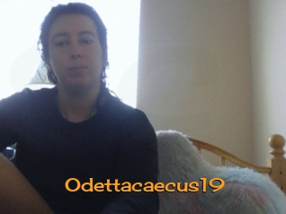 Odettacaecus19