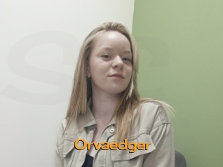 Orvaedger