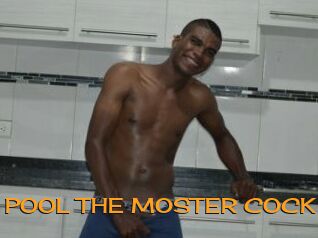 POOL_THE_MOSTER_COCK