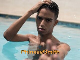 PhineasSmith Sortez Couvert