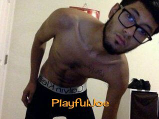 PlayfulJoe
