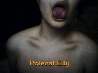 Polecat_Elly