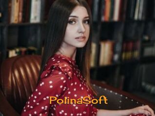 PolinaSoft