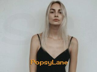 PopsyLane Sortez Couvert