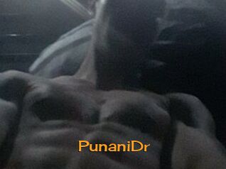 PunaniDr