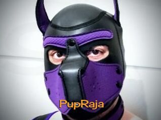 PupRaja