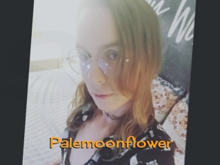 Palemoonflower